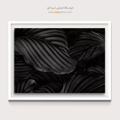 تابلو هنری سیاه و سفید مدرن - جنگلهای بارانی – تابلو سیاه و سفید - اسپو دکور