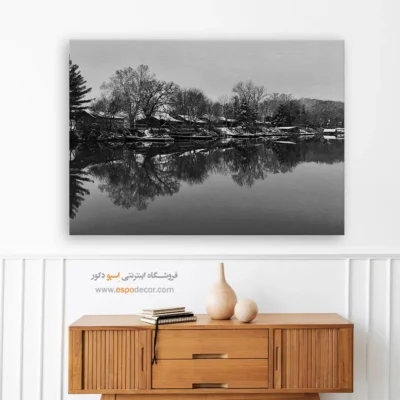 دکوراسیون لوکس آرامش‌بخش - آینه‌ی زمستان – تابلو سیاه و سفید - اسپو دکور