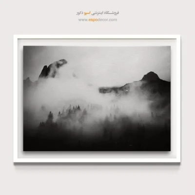 تابلو بوم طبیعت سیاه و سفید لوکس - قلمرو مه آلود – تابلو سیاه و سفید - اسپو دکور