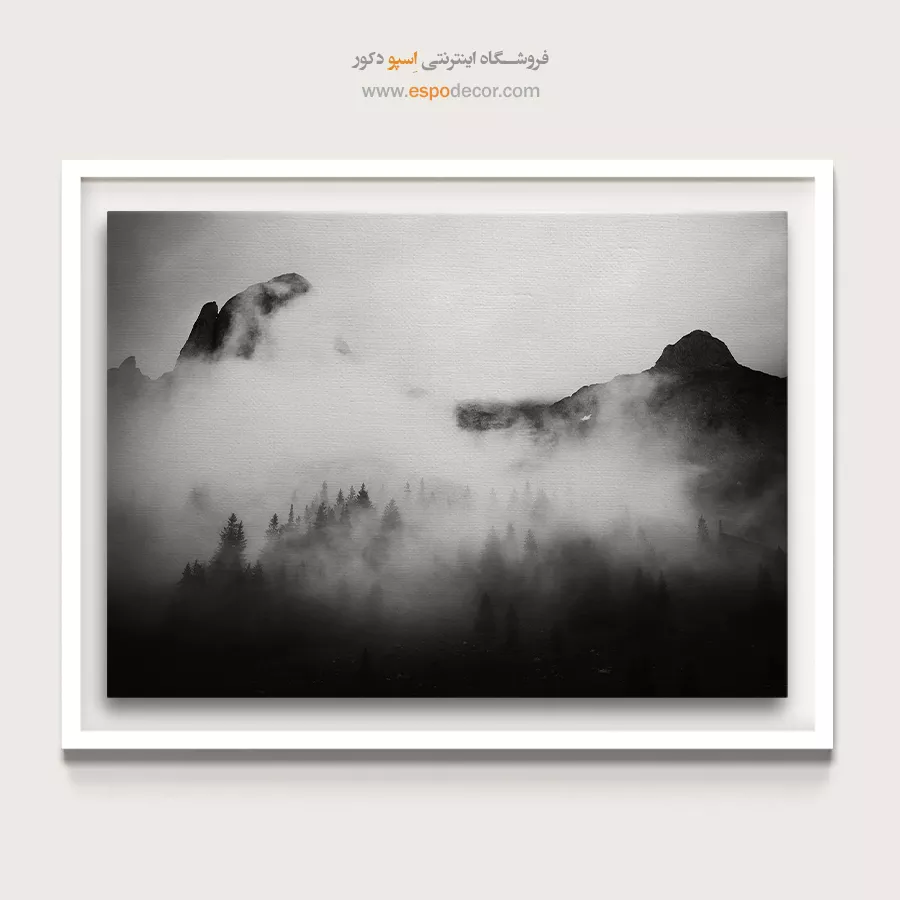 تابلو بوم طبیعت سیاه و سفید لوکس - قلمرو مه آلود – تابلو سیاه و سفید - اسپو دکور