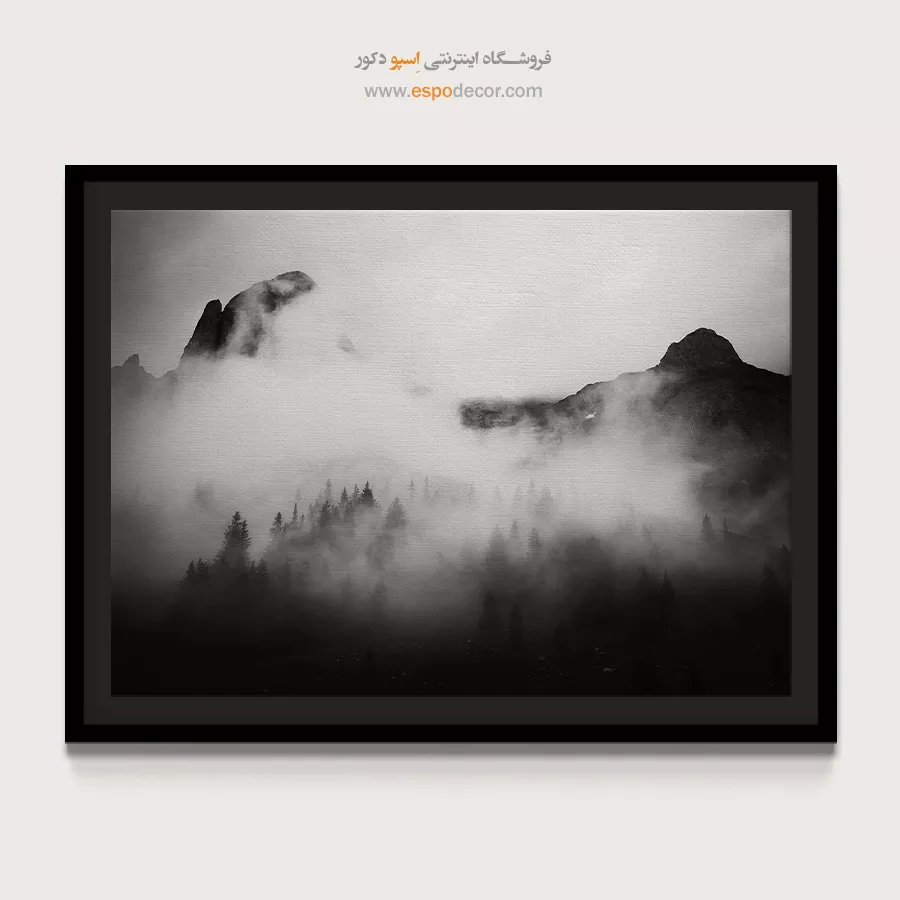 تابلو بوم طبیعت سیاه و سفید لوکس - قلمرو مه آلود – تابلو سیاه و سفید - اسپو دکور