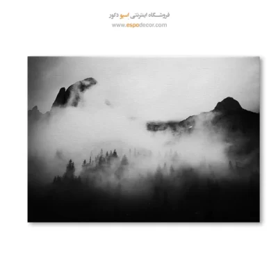 تابلو بوم طبیعت سیاه و سفید لوکس - قلمرو مه آلود – تابلو سیاه و سفید - اسپو دکور