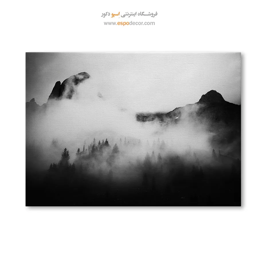 تابلو بوم طبیعت سیاه و سفید لوکس - قلمرو مه آلود – تابلو سیاه و سفید - اسپو دکور
