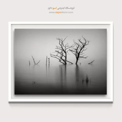 تابلو سیاه و سفید مخصوص پذیرایی - تراژدی – تابلو سیاه و سفید - اسپو دکور