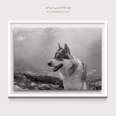 تابلو بوم سیاه و سفید برای دکوراسیون - گرگ کوهستان – تابلو سیاه و سفید - اسپو دکور