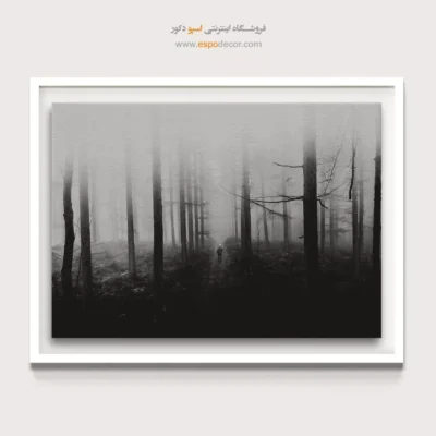 تابلو بوم دیواری سیاه و سفید برای هدیه - تنها در جنگل – تابلو سیاه و سفید - اسپو دکور