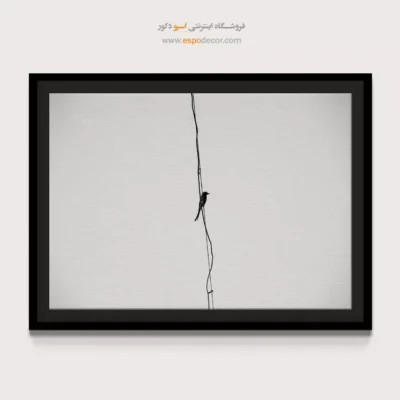 تابلو عکس مینیمالیسم - رهایی – تابلو سیاه و سفید - اسپو دکور