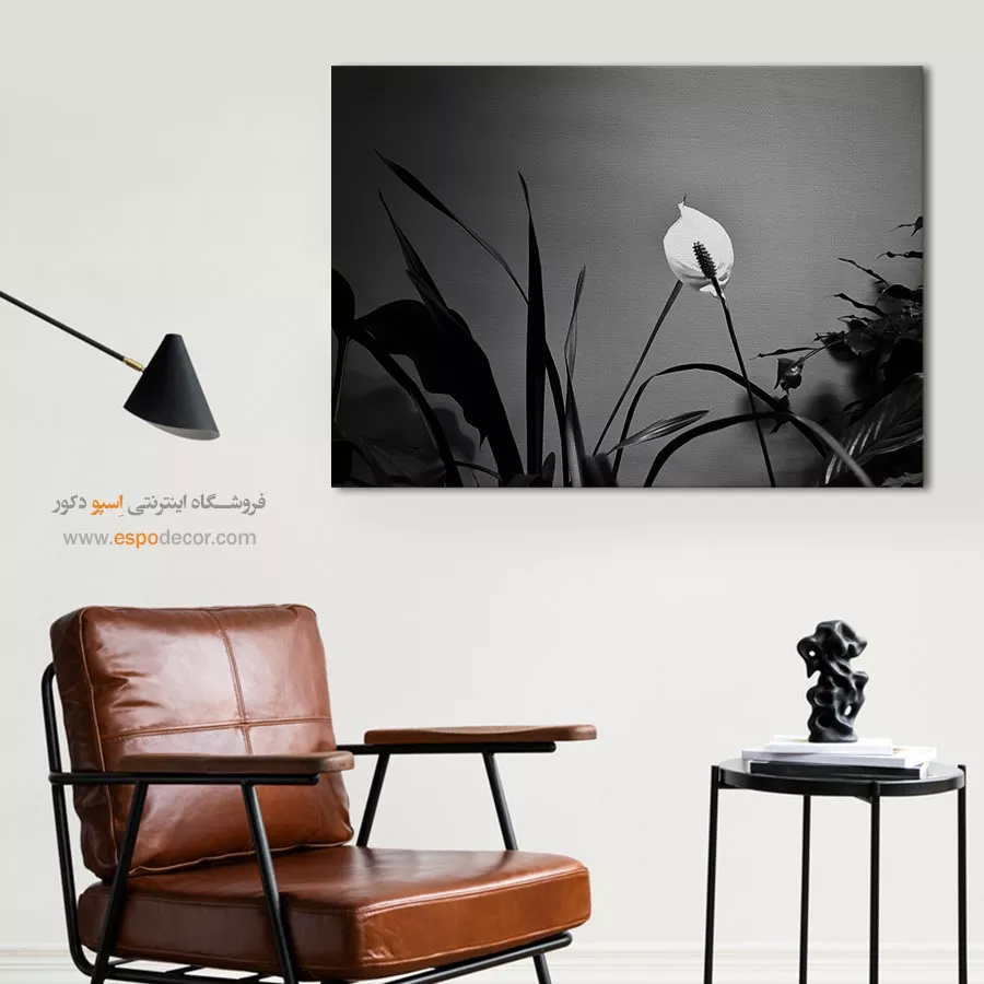 تابلو بوم سیاه و سفید زیبا - درخشش صلح – تابلو سیاه و سفید - اسپو دکور