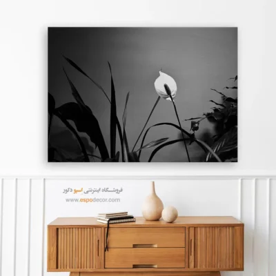 تابلو بوم سیاه و سفید زیبا - درخشش صلح – تابلو سیاه و سفید - اسپو دکور