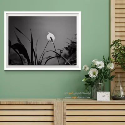 تابلو بوم سیاه و سفید زیبا - درخشش صلح – تابلو سیاه و سفید - اسپو دکور