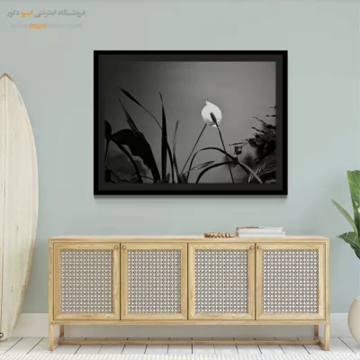 تابلو بوم سیاه و سفید زیبا - درخشش صلح – تابلو سیاه و سفید - اسپو دکور