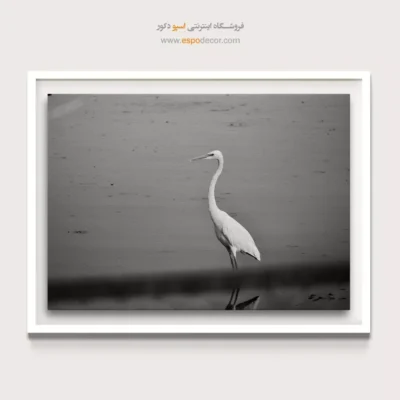 خرید اینترنتی تابلو بوم جدید - پرنده‌ی سکوت – تابلو سیاه و سفید - اسپو دکور