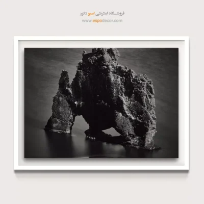 تابلو بوم مینیمال برای اتاق - نگهبان آب‌ها – تابلو سیاه و سفید - اسپو دکور