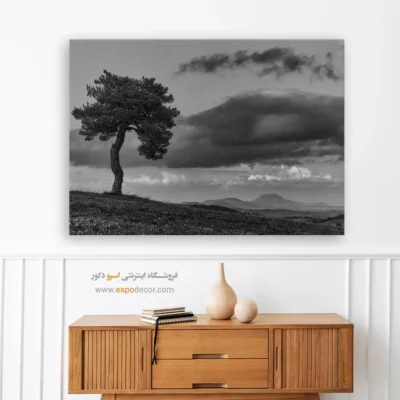 تابلو درخت تنها سیاه و سفید - نگهبان تپه – تابلو سیاه و سفید - اسپو دکور