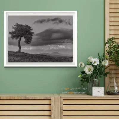 تابلو درخت تنها سیاه و سفید - نگهبان تپه – تابلو سیاه و سفید - اسپو دکور
