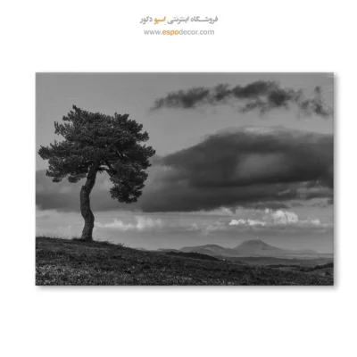 تابلو درخت تنها سیاه و سفید - نگهبان تپه – تابلو سیاه و سفید - اسپو دکور