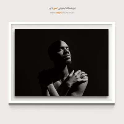 خرید تابلو سیاه و سفید برای اتاق - در آغوش سایه  – تابلو سیاه و سفید - اسپو دکور