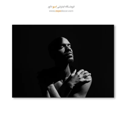 خرید تابلو سیاه و سفید برای اتاق - در آغوش سایه  – تابلو سیاه و سفید - اسپو دکور