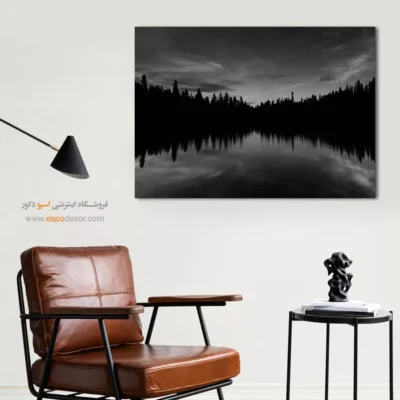 تابلو منظره‌ی جنگل سیاه و سفید - پایان روز  – تابلو سیاه و سفید - اسپو دکور
