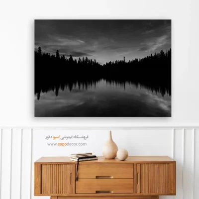 تابلو منظره‌ی جنگل سیاه و سفید - پایان روز  – تابلو سیاه و سفید - اسپو دکور