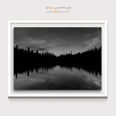 تابلو منظره‌ی جنگل سیاه و سفید - پایان روز  – تابلو سیاه و سفید - اسپو دکور