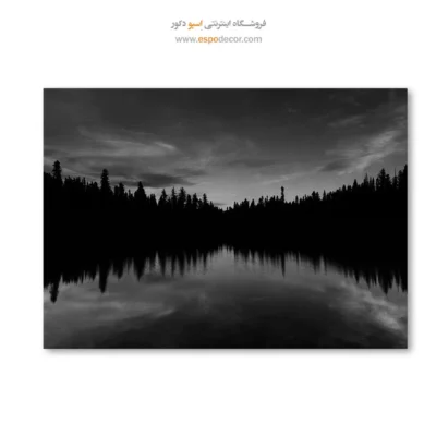 تابلو منظره‌ی جنگل سیاه و سفید - پایان روز  – تابلو سیاه و سفید - اسپو دکور
