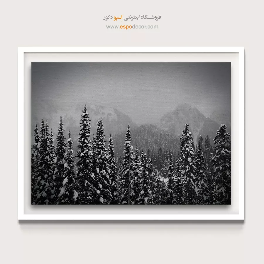 تابلو منظرهی زمستانی سیاه و سفید - دیوار برفی کاجها – تابلو سیاه و سفید - اسپو دکور