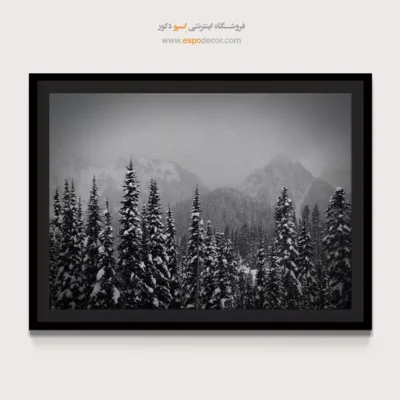 تابلو منظرهی زمستانی سیاه و سفید - دیوار برفی کاجها – تابلو سیاه و سفید - اسپو دکور