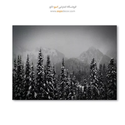 تابلو منظرهی زمستانی سیاه و سفید - دیوار برفی کاجها – تابلو سیاه و سفید - اسپو دکور
