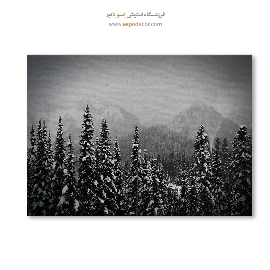 تابلو منظرهی زمستانی سیاه و سفید - دیوار برفی کاجها – تابلو سیاه و سفید - اسپو دکور