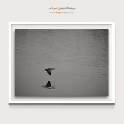 تابلو حیات وحش مینیمال - انعکاس آرامش – تابلو سیاه و سفید - اسپو دکور