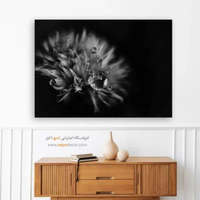 تابلو عکس طبیعت مدرن - اشک‌های نور – تابلو سیاه و سفید - اسپو دکور