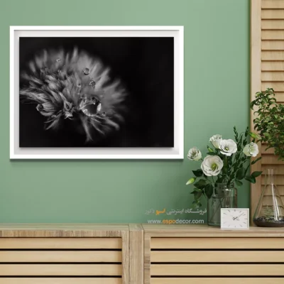 تابلو عکس طبیعت مدرن - اشک‌های نور – تابلو سیاه و سفید - اسپو دکور