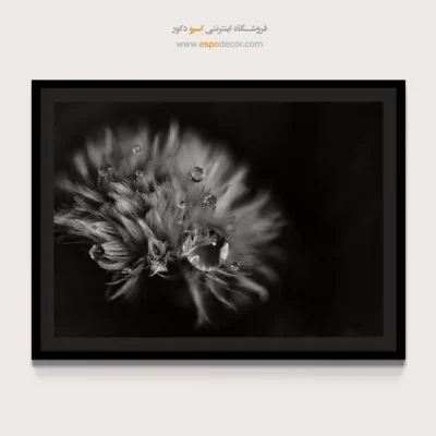 تابلو عکس طبیعت مدرن - اشک‌های نور – تابلو سیاه و سفید - اسپو دکور