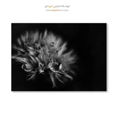 تابلو عکس طبیعت مدرن - اشک‌های نور – تابلو سیاه و سفید - اسپو دکور