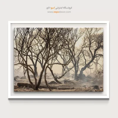 تابلو منظره‌ی دراماتیک - رقص شاخه‌ها – تابلو سیاه و سفید - اسپو دکور