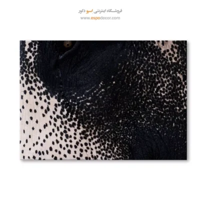 تابلو حیوانات مدرن - پیکسل‌های طبیعت – تابلو سیاه و سفید - اسپو دکور