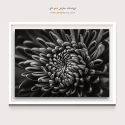 خرید تابلو سیاه و سفید برای اتاق لوکس - قلب متراکم – تابلو سیاه و سفید - اسپو دکور