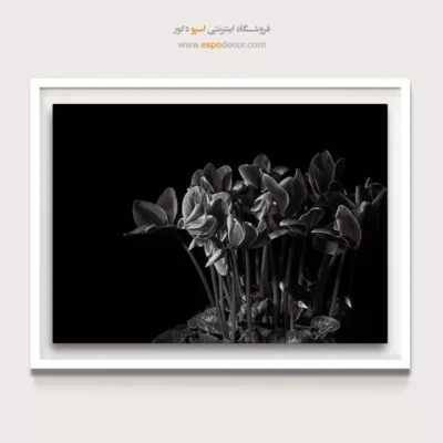 تابلو اتاق خواب سیاه و سفید لوکس - سیکلامن  – تابلو سیاه و سفید - اسپو دکور