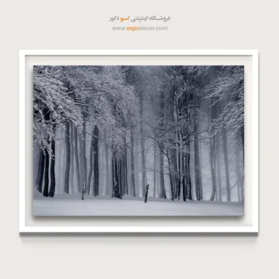 تابلو مدرن سیاه و سفید جدید - قلمرو مه – تابلو سیاه و سفید - اسپو دکور