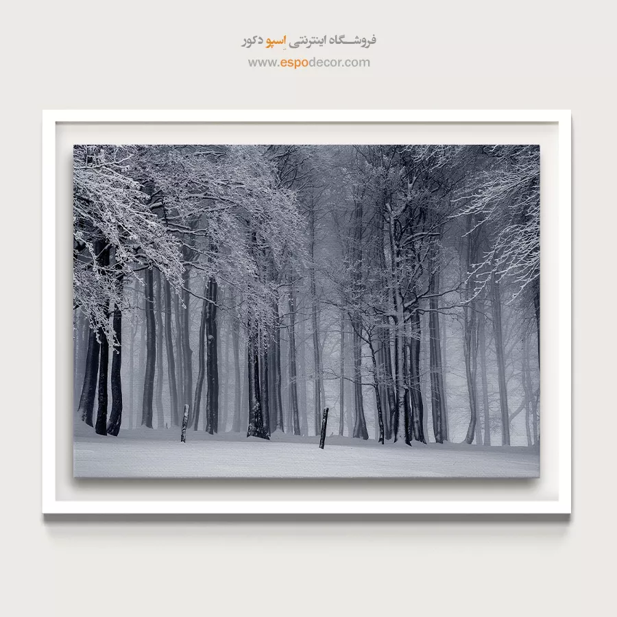 تابلو مدرن سیاه و سفید جدید - قلمرو مه – تابلو سیاه و سفید - اسپو دکور