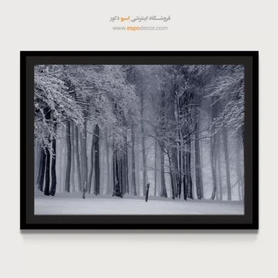 تابلو مدرن سیاه و سفید جدید - قلمرو مه – تابلو سیاه و سفید - اسپو دکور