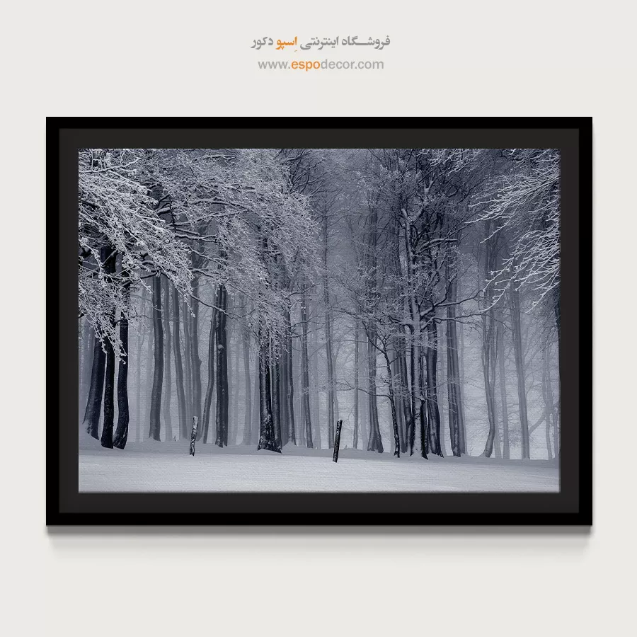 تابلو مدرن سیاه و سفید جدید - قلمرو مه – تابلو سیاه و سفید - اسپو دکور