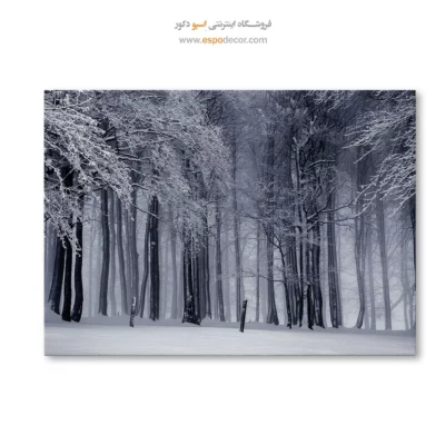 تابلو مدرن سیاه و سفید جدید - قلمرو مه – تابلو سیاه و سفید - اسپو دکور