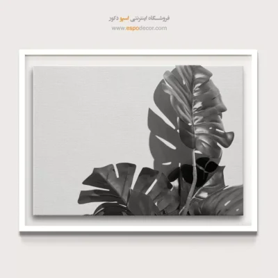 بهترین خرید تابلو سیاه و سفید مدرن - استوایی – تابلو سیاه و سفید - اسپو دکور