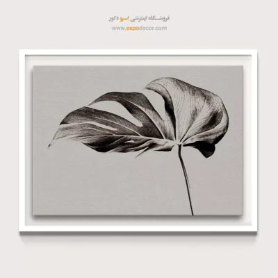 تابلو برای دکوراسیون بوتیک - مونسترا – تابلو سیاه و سفید - اسپو دکور