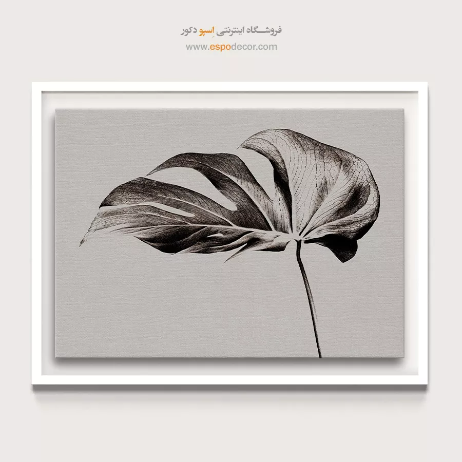 تابلو برای دکوراسیون بوتیک - مونسترا – تابلو سیاه و سفید - اسپو دکور