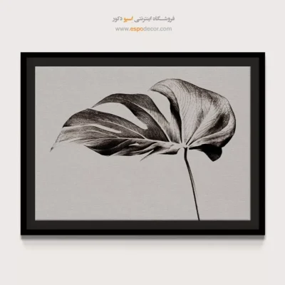 تابلو برای دکوراسیون بوتیک - مونسترا – تابلو سیاه و سفید - اسپو دکور