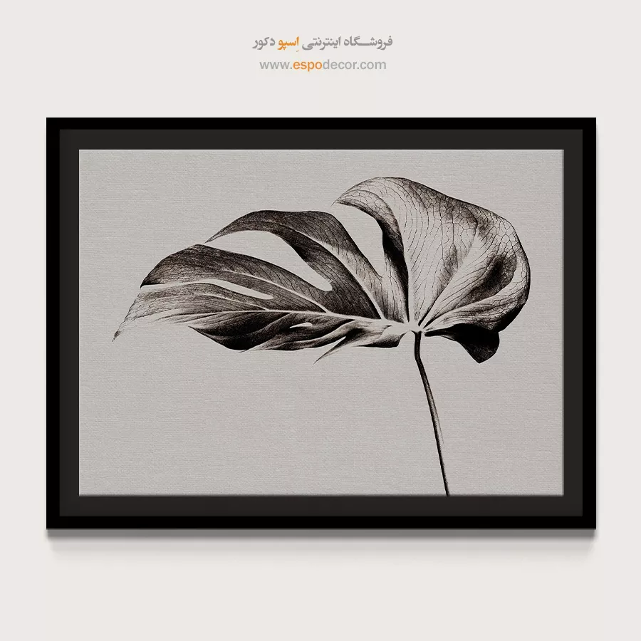 تابلو برای دکوراسیون بوتیک - مونسترا – تابلو سیاه و سفید - اسپو دکور