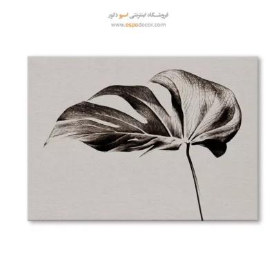 تابلو برای دکوراسیون بوتیک - مونسترا – تابلو سیاه و سفید - اسپو دکور